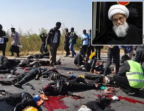 بيان آية الله صافي كلبايكاني في استنكار مجزرة المعزين الحسينين في نيجيريا
