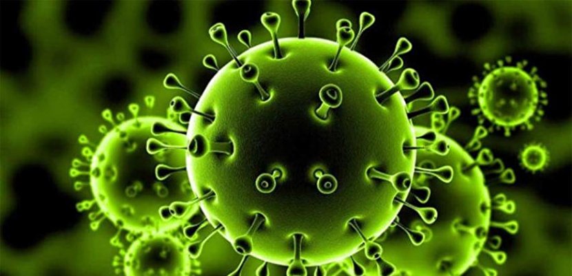 اطباء ايرانيون: هناك احتمال بان يكون فيروس كورونا هجوم بيولوجي