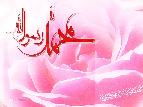 فی ذکرى المولد النبوی الشریف..الأمة أمام مرآة الذات