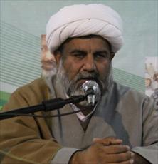 حجت الاسلام راجه ناصر عباس جعفري