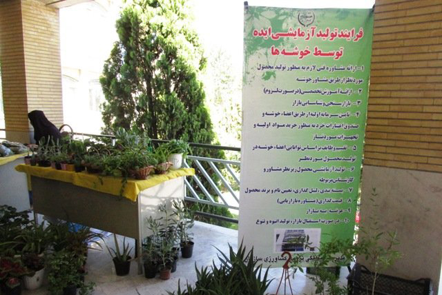 نمايشگاه توانمندي هاي زنان روستايي در حاشيه همايش همدلي و همزباني در بستر فرهنگ و مديريت جهادي، جهاد کشاورزي استان مرکزي
