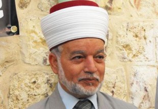 محمد احمد حسين