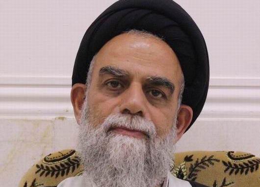 حجت الاسلام سید محمدتقی علوی