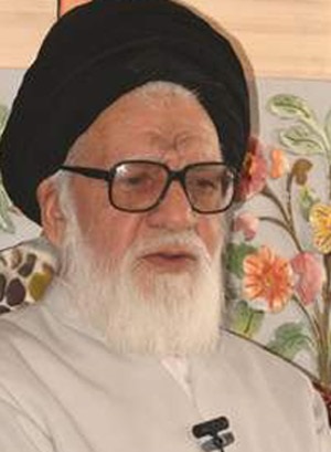 آیت الله سید کاظم حسینی میانجی