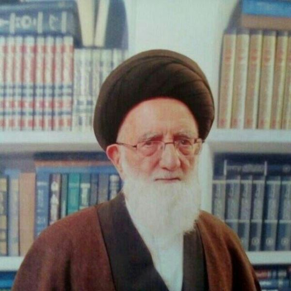 آیت الله سید مهدی ابن الرضا