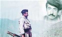 شهید