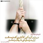 حدیث/ شیعه ای که دروغ می گوید