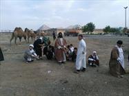 حوزه علمیه هرسین