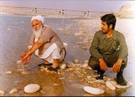 آیت الله شیخ صدرالدین حائری شیرازی در جبهه های حق علیه باطل