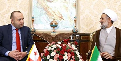 ايران وجورجيا توكدان ضرورة رفع العقبات من مسار التعاون الاقتصادي بين البلدين