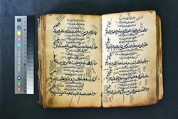 بررسی دو هزار نسخه خطی اسلامی در دانمارک