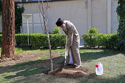 کاشت دو نهال توسط رهبر انقلاب در هفته منابع طبیعی