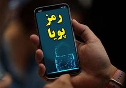 فعال سازی رمزپویا و کاهش کلاهبرداری در فضای مجازی