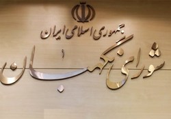 لایحه حمایت از اطفال و نوجوانان در شورای نگهبان تایید شد