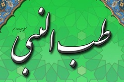 کتاب پژوهشی پیرامون طب النبی منتشر شد