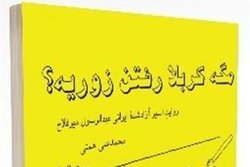 مروری بر کتاب «مگه کربلا رفتن زوریه؟»