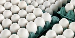 قیمت‌های متفاوت در بازار تخم مرغ