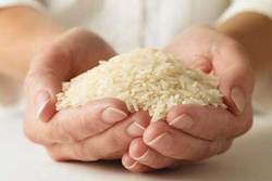 ورود جهاد کشاورزی برای برخورد با قیمت غیرواقعی برنج