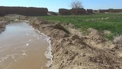 بعد از ۳۴ سال در روستای کوشه سفلی زمین جان دوباره گرفت