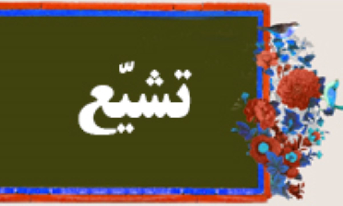 امام کاظم و سازماندهی فعالیت های سیاسی تشیع