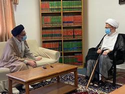 وزیر اطلاعات با آیت الله سبحانی دیدار کرد