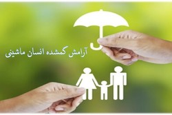 آرامش گمشده انسان ماشینی/ ادبیات خانوادگی ائمه، الگویی برای نسل جوان