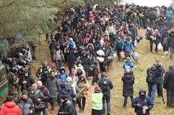 مسلمانان لهستان به کمک پناهجویان گرفتار در مرز شتافتند