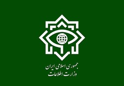 دستگیری یک تروریست با دامنه فعالیت فرامرزی  توسط سربازان گمنام امام زمان