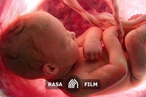 سقط جنین در بیان آیت الله ناصری