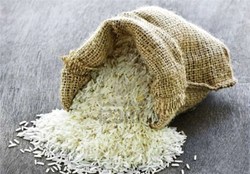 بیش‌از 40 درصد از صادرات جهانی برنج در اختیار هند است