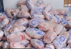توزیع مرغ منجمد تنظیم‌بازاری با قیمت هر کیلوگرم ۴۵هزار تومان