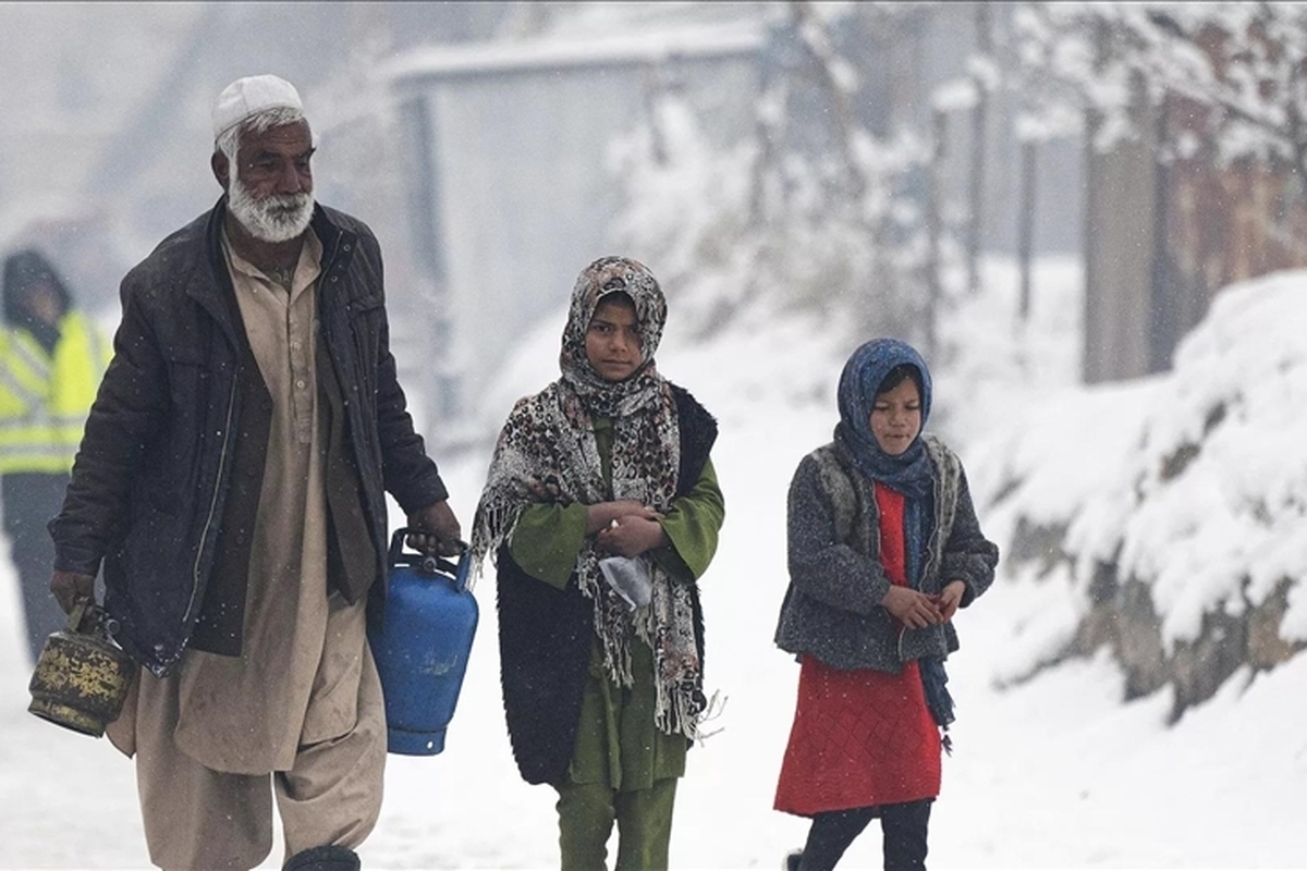 افزایش ۷۰ درصدی آمار تولد از مادران غیرایرانی طی ۵ سال