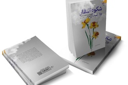 کتاب «شکوه انتظار و دیدار» بازار نشر شد + لینک