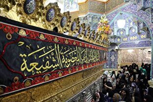 کلیپ | بانوی مهربان