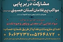 مواکب ویژه پیرغلامان حسینی در اربعین راه‌اندازی می‌شود