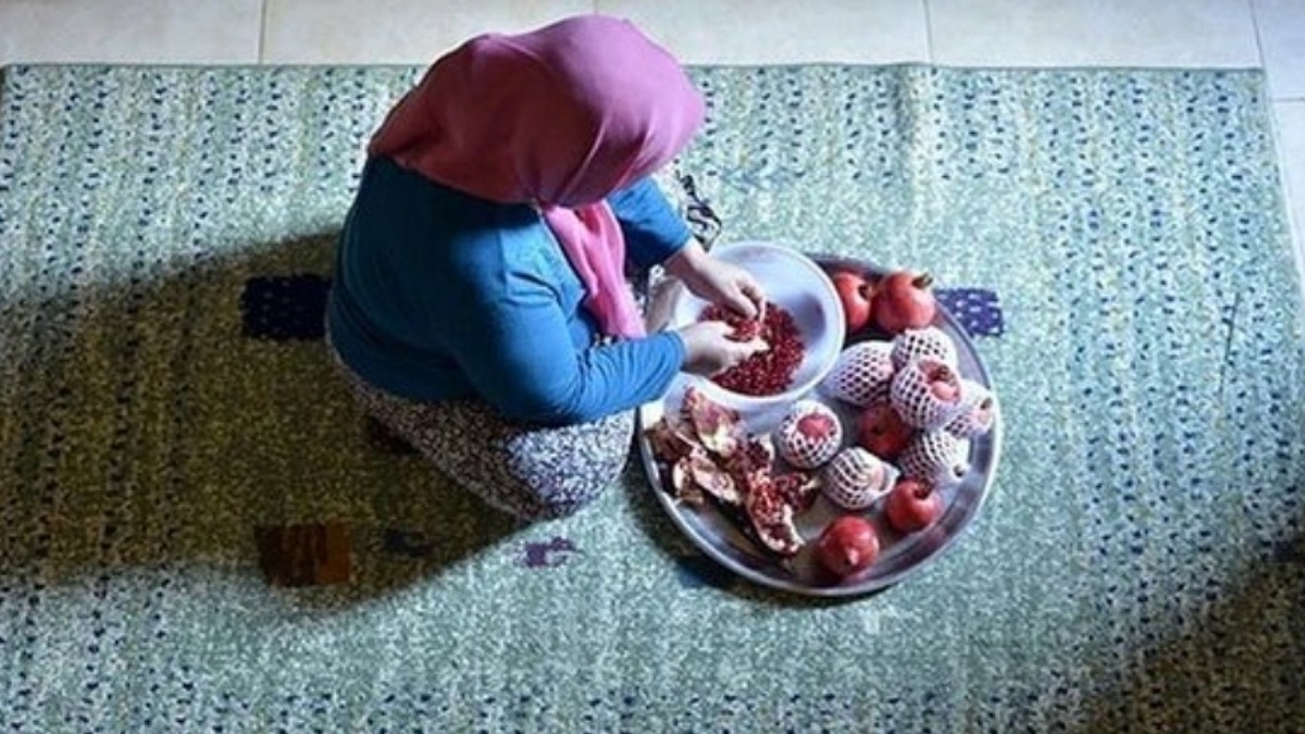 شرایط پوشش بیمهای «زنان خانهدار» و رقم حقبیمه پرداختی آنها