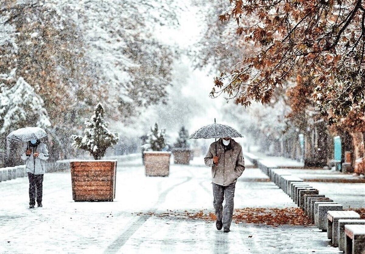 هواشناسی ایران ۱۴۰۳/۸/۲۰؛ بارش باران و برف در ۲۴ استان تا جمعه