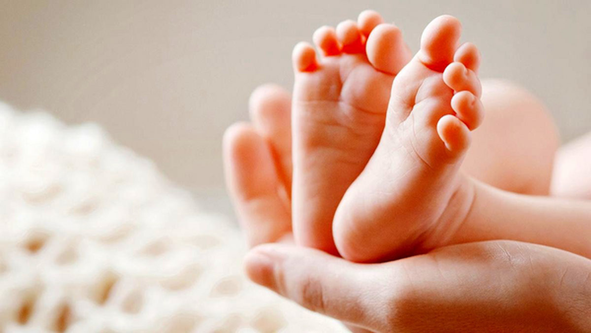 اقدامات حوزه جوانی جمعیت در یزد چه بود؟