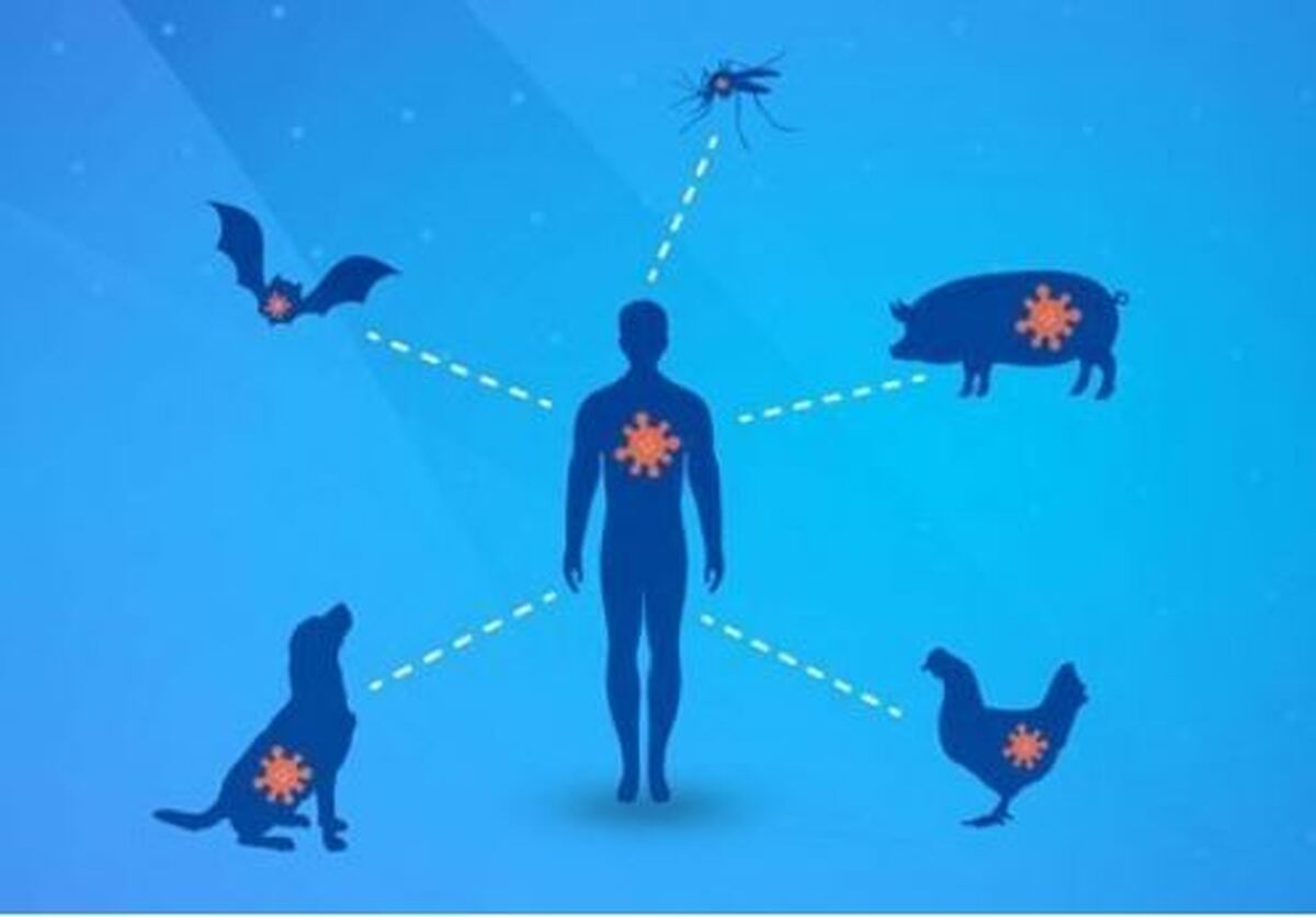 افزایش بیماری‌های مشترک انسان و حیوان به دنبال تغییر اقلیم