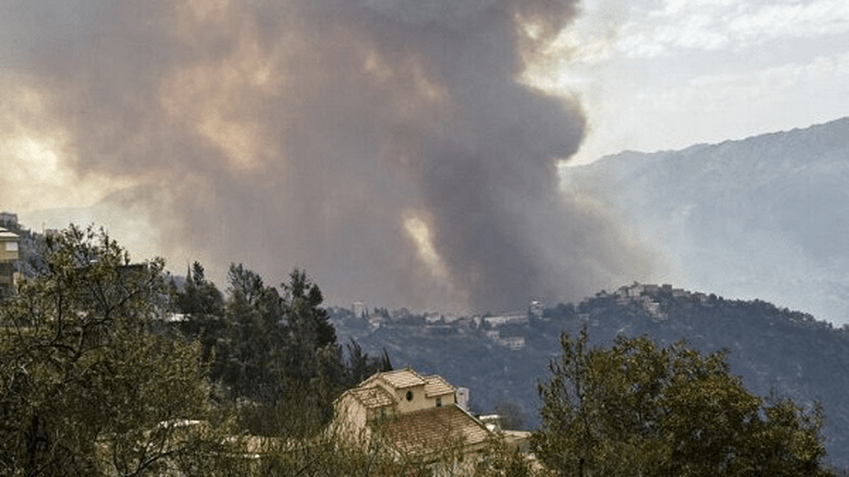 اغتشاشگران به جنگل‌های هیرکانی هم رحم نکردند