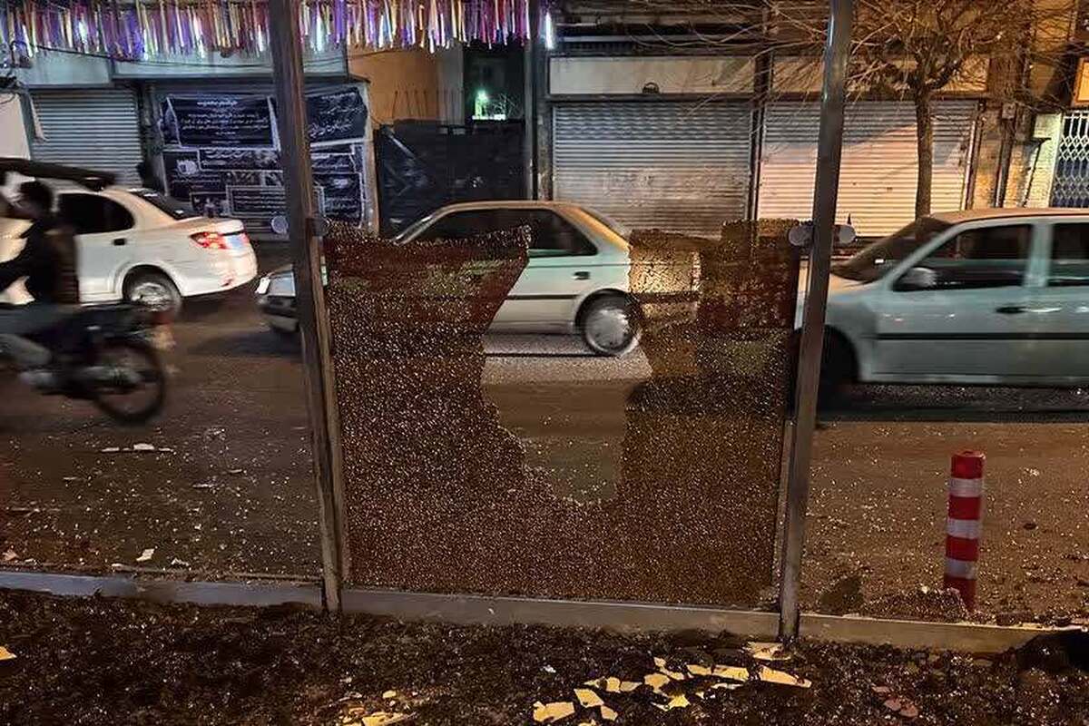 واکنش هیئات‌ و تشکل‌های دینی به اغتشاشات اخیر/هیئت، پای کار مردم و اسلام