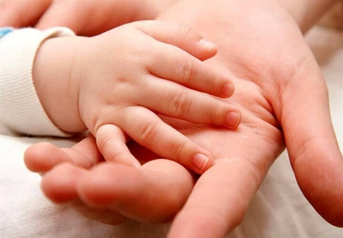 باید به سراغ راه‌حل‌ ریشه‌ای برای حل مشکل جمعیت برویم