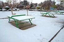 هواشناسی ایران|تداوم بارش برف و باران در غرب کشور/کاهش آلودگی هوا از امروز