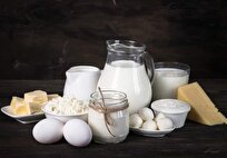 قیمت لبنیات از این هفته زیر ذره‌بین وزارت جهاد کشاورزی می‌رود