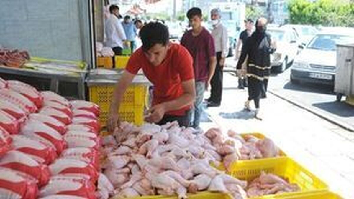 ادامه عقب نشینی قیمت مرغ در بازار