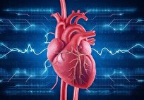 هوش مصنوعی به کمک تشخیص دقیق‌تر عروق کرونری قلب آمد