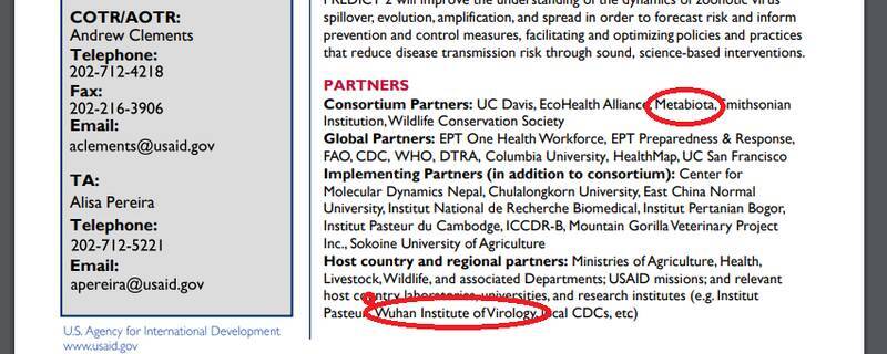 رد پای اپستین در شبکه‌ مخوف کاسبان پاندمی