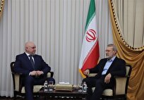 دیدار وزیر انرژی روسیه با لاریجانی