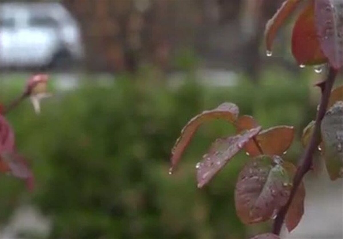 بارندگی تهران ۲۰۰ میلی متر کمتر از شرایط ایده‌آل