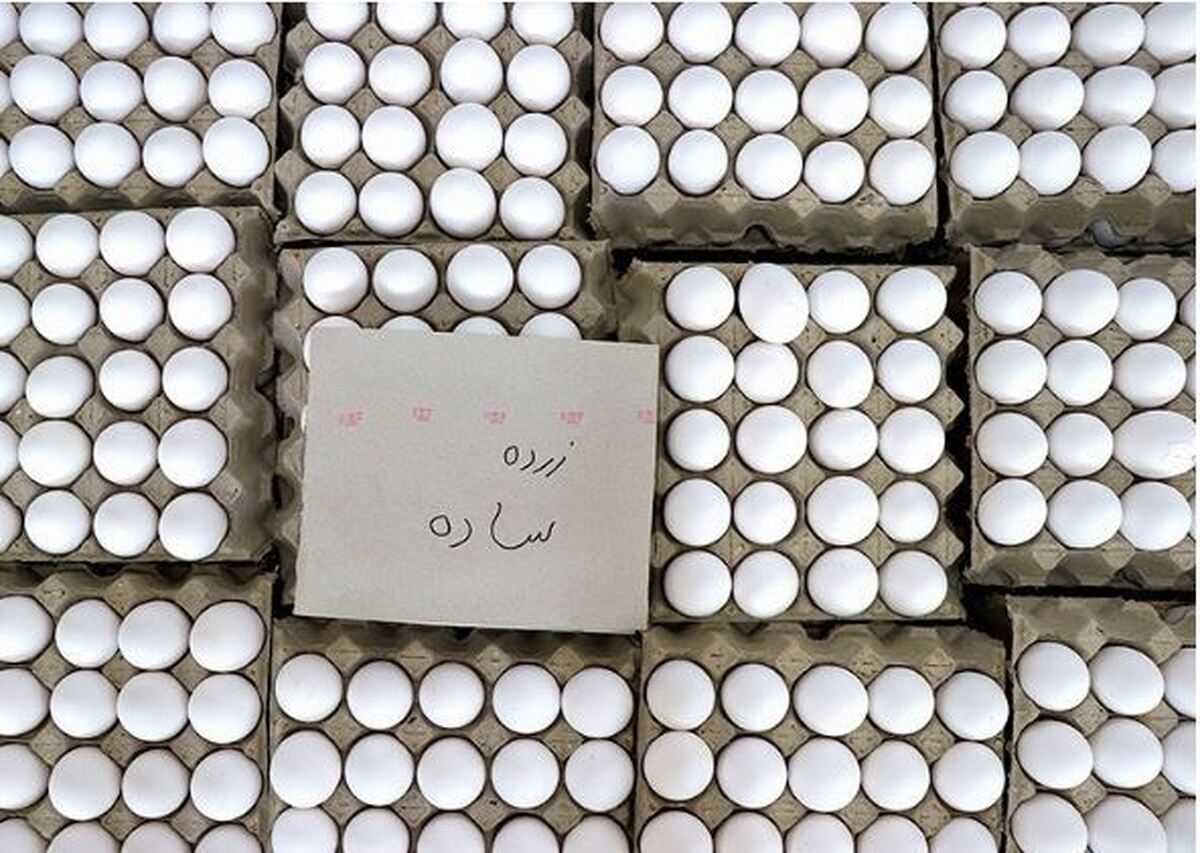 کف قیمت هر شانه تخم‌مرغ ۳۷۰ هزار تومان شد